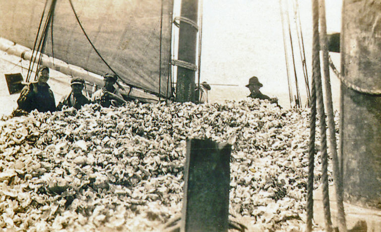 Greenwich Oystermen