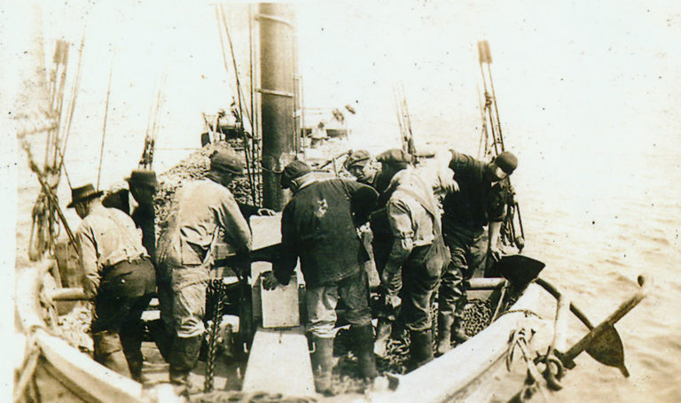 Greenwich Oystermen